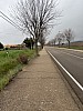 IMG_1433.jpg