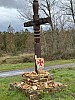 IMG_1446.jpg