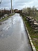 IMG_1447.jpg