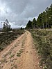 IMG_1449.jpg