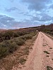 IMG_1464.jpg