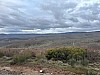 IMG_1465.jpg