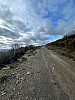 IMG_1480.jpg