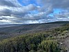 IMG_1481.jpg