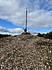 IMG_1496.jpg