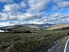 IMG_1498.jpg