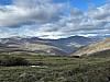IMG_1499.jpg