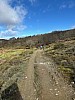 IMG_1507.jpg