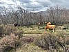 IMG_1516.jpg