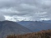 IMG_1519.jpg