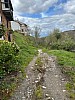 IMG_1531.jpg