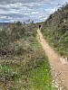 IMG_1534.jpg