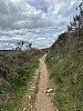 IMG_1535.jpg