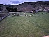 IMG_1544.jpg