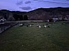 IMG_1545.jpg