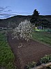 IMG_1548.jpg