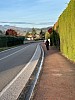 IMG_1554.jpg