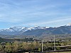 IMG_1558.jpg