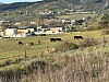 IMG_1562.jpg