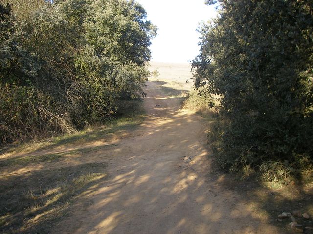 P3300876.JPG