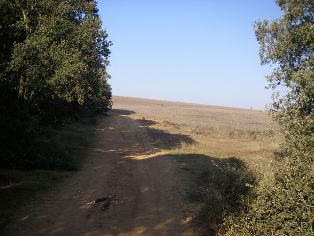 P3300877.JPG