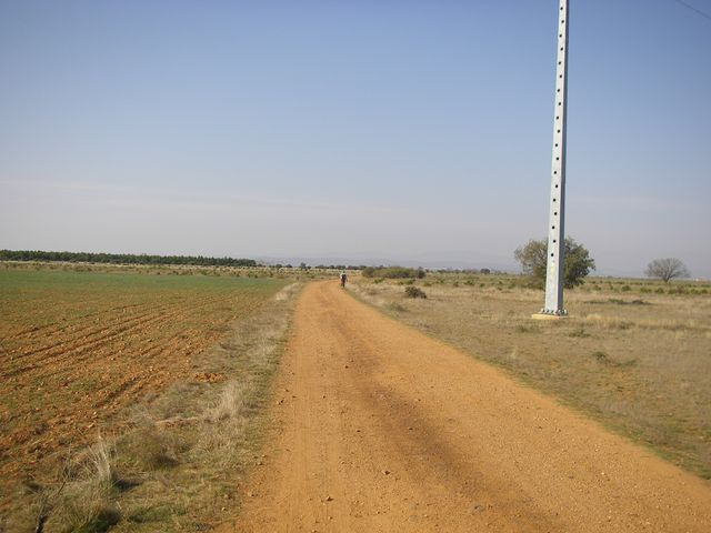 P3300878.JPG