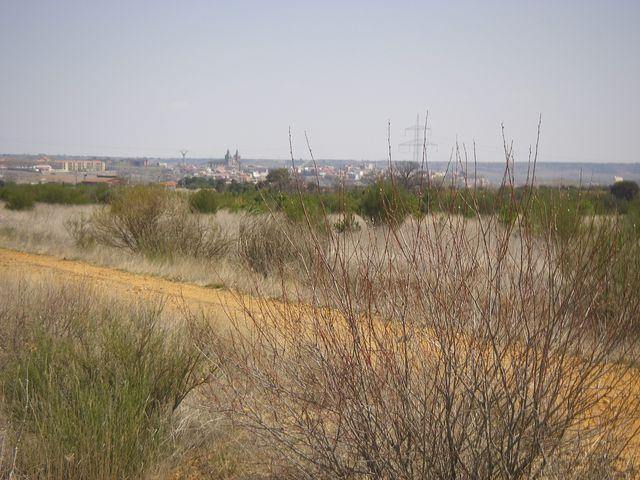 P3300903.JPG