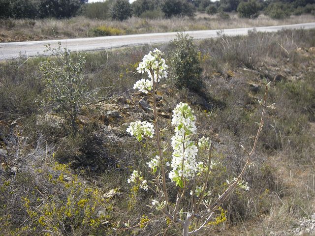 P3300904.JPG
