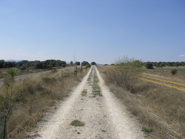 P3300906.JPG
