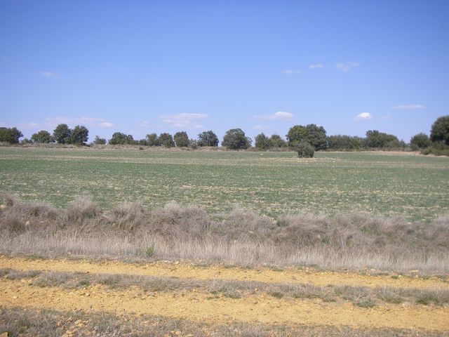 P3300907.JPG