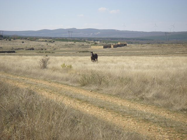 P3300909.JPG