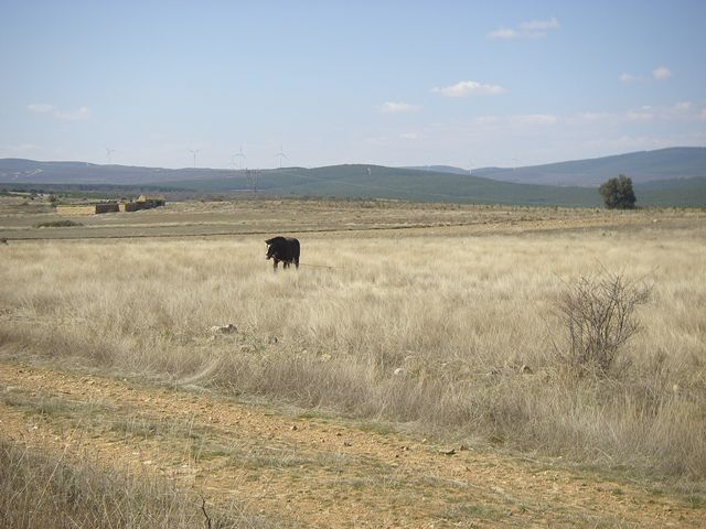 P3300910.JPG