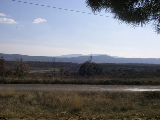 P3300912.JPG