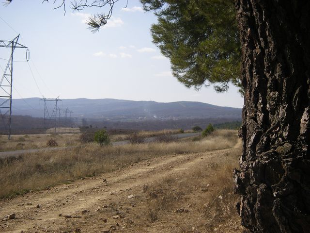 P3300914.JPG