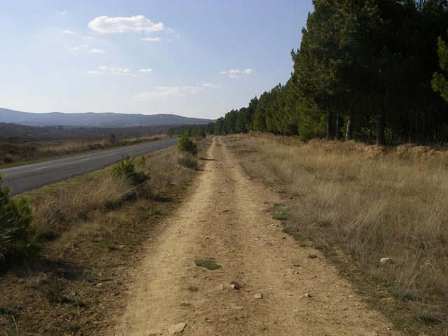 P3300916.JPG