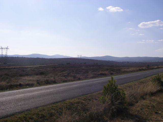 P3300917.JPG