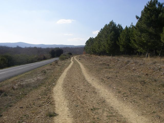 P3300919.JPG