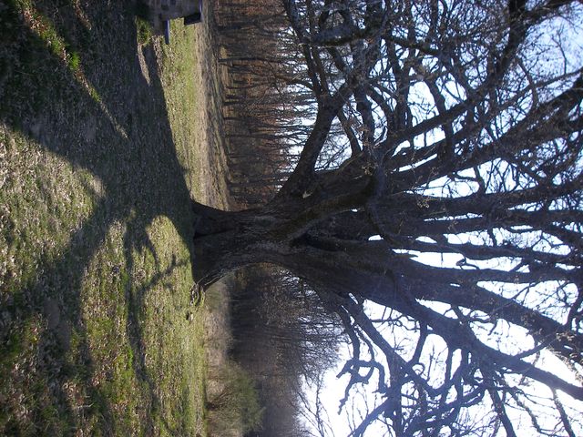 P3300922.JPG