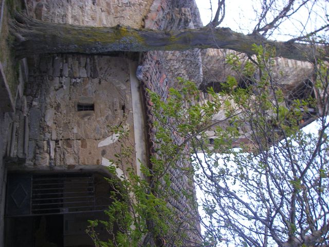 P3300924.JPG