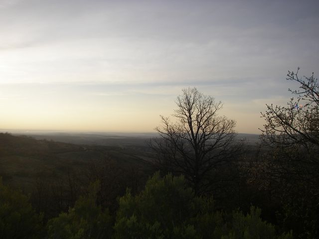 P3310925.JPG