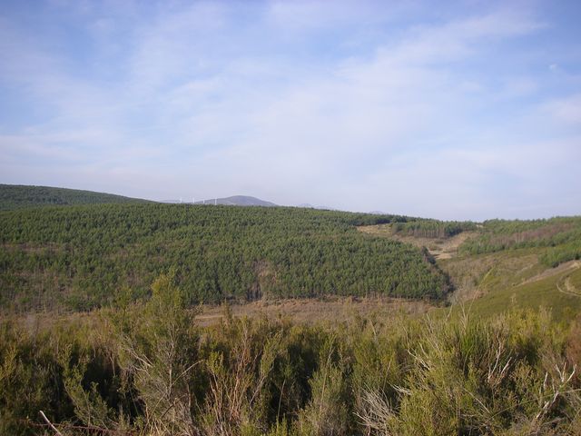 P3310933.JPG