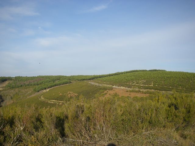 P3310934.JPG