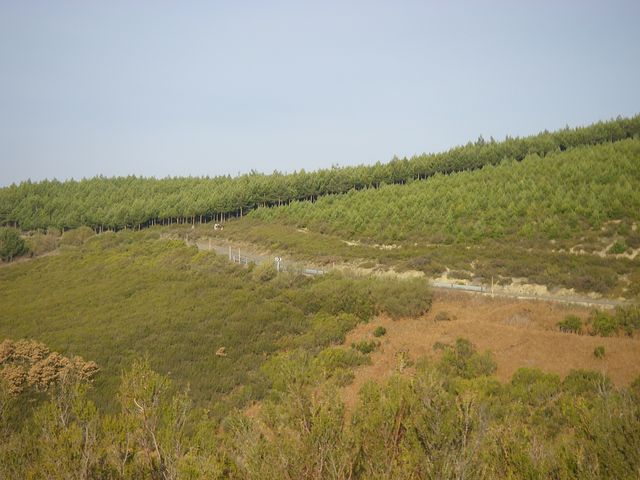 P3310935.JPG
