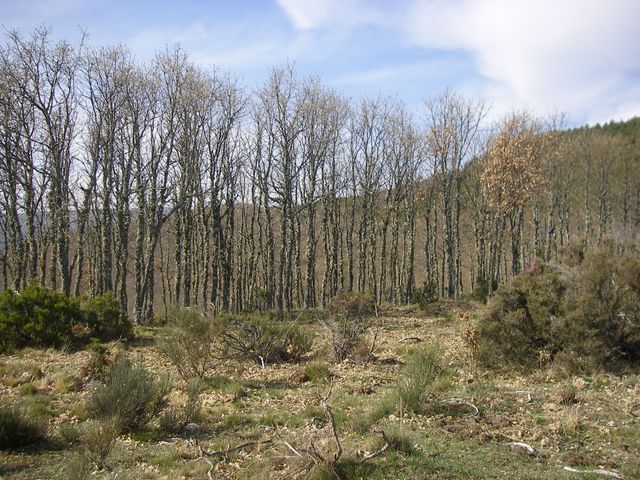 P3310943.JPG