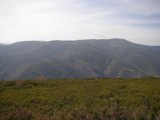 P3310944.JPG