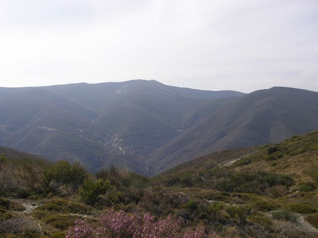 P3310947.JPG