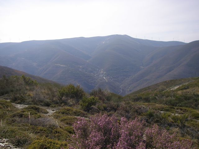 P3310948.JPG
