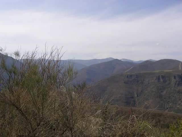 P3310955.JPG