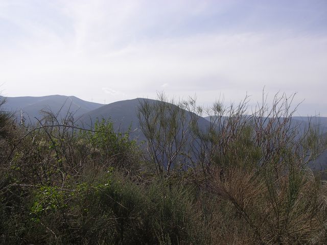 P3310956.JPG