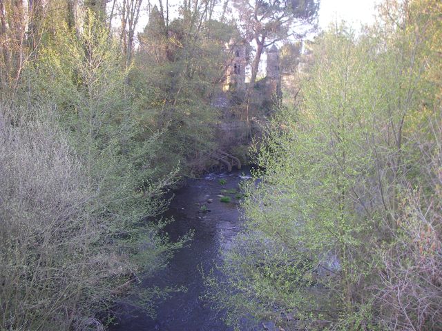 P4010963.JPG